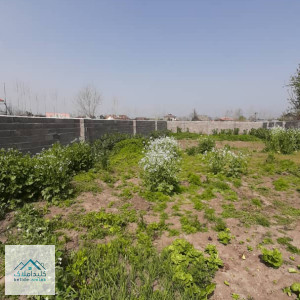 فروش زمین با کاربری باغی 515 متر در لاهیجان